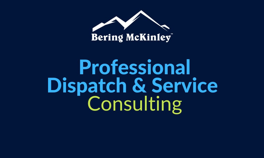 ProfessionalDispatchAndServiceConsulting